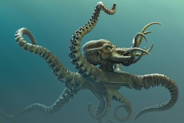 Кракен ссылки krakenwebs org